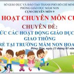 🌸 SINH HOẠT CHUYÊN MÔN CỤM 9 – CHUYÊN ĐỀ GIÁO DỤC AN TOÀN GIAO THÔNG 🌸